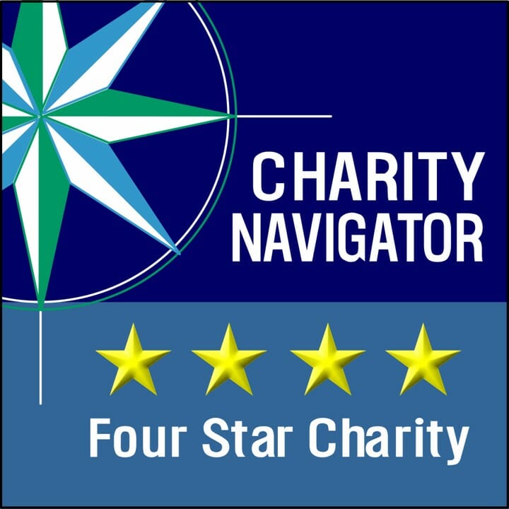 charity navigator vertical