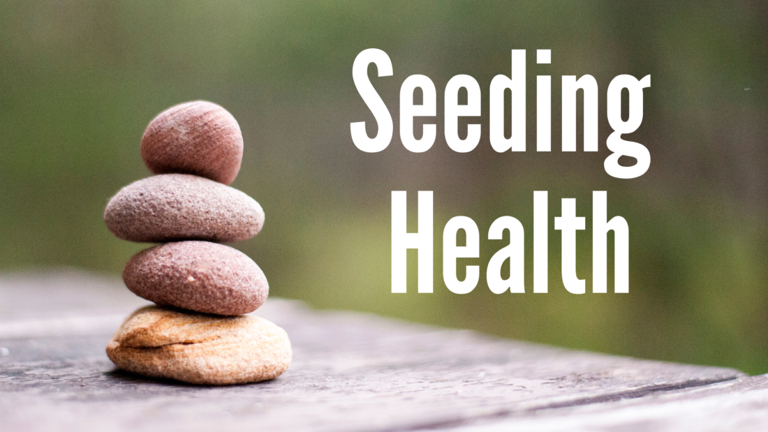 Image shows a stack of rocks on a table against a green background. Text in white reads Seeding Health.