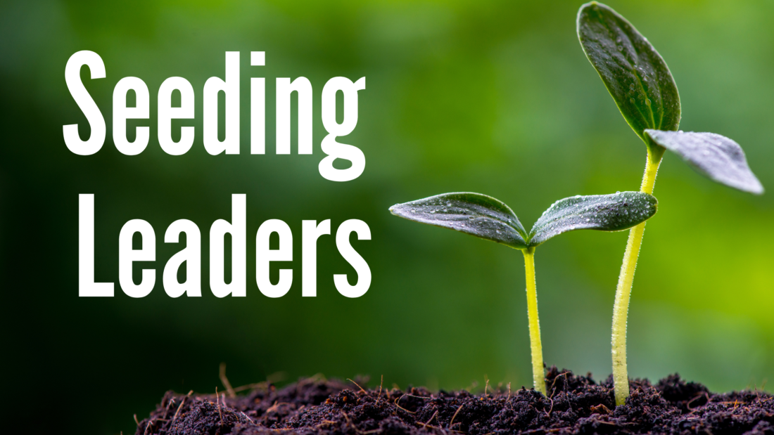 Image shows two seedlings sprouting from the dirt against a green background, with text reading Seeding Leaders in white.