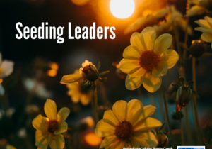 bloomed flowers sit beneath a sunset/sunrise with "seeding leaders" and the uwbckr logo on the page